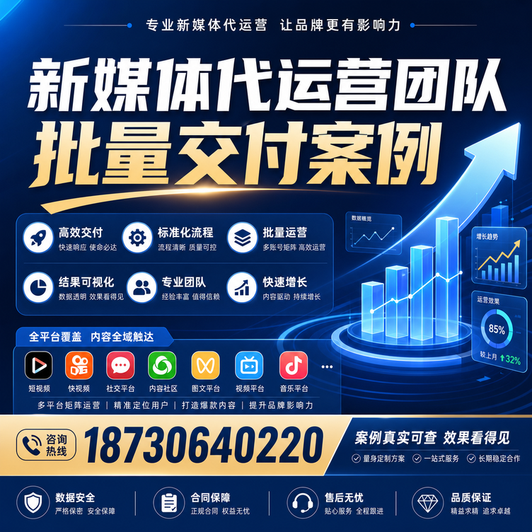 呼伦贝尔代运营公司多客户账号批量高效交付案例